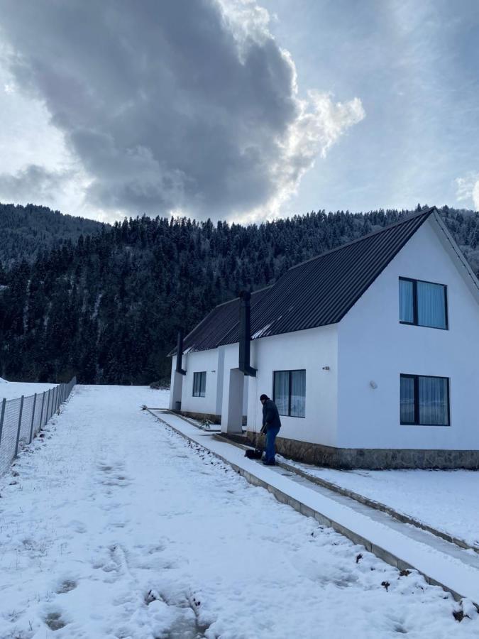 White House Near Borjomi Sadgeri Apartment Екстериор снимка