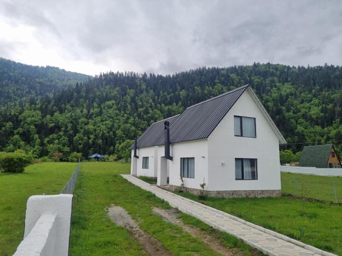 White House Near Borjomi Sadgeri Apartment Екстериор снимка