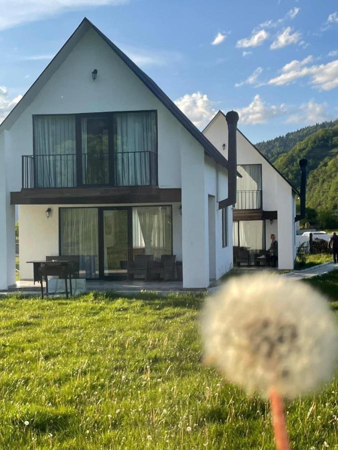 White House Near Borjomi Sadgeri Apartment Екстериор снимка