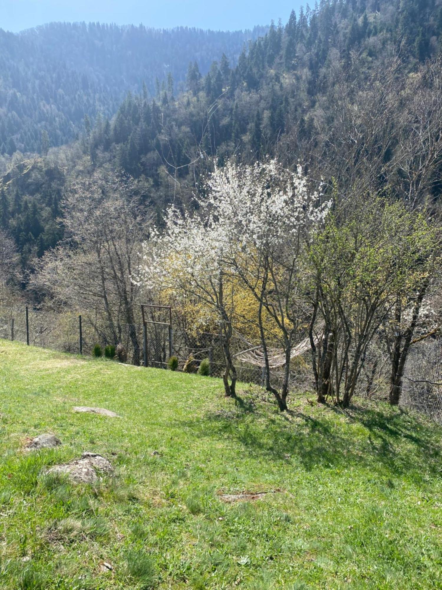 White House Near Borjomi Sadgeri Apartment Екстериор снимка